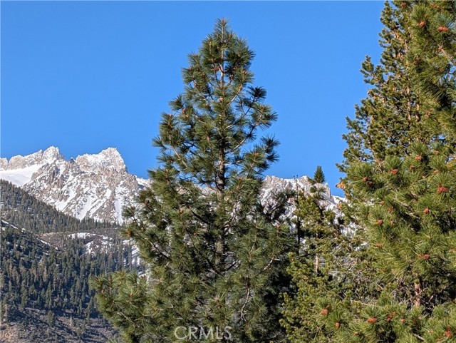 MLS #TR25114305 image #1