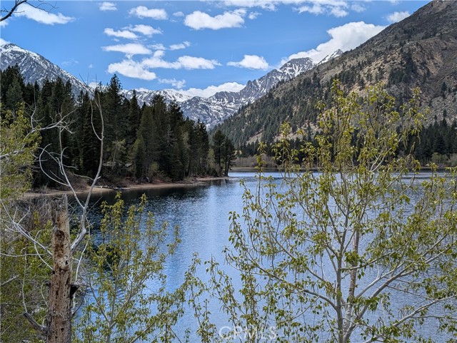 MLS #TR25114305 image #37