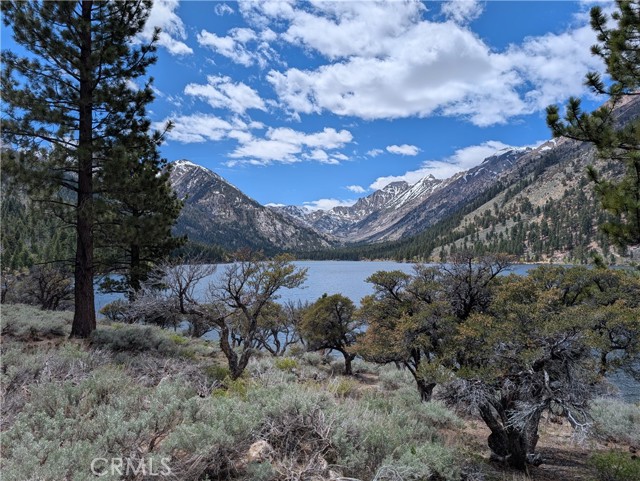 MLS #TR25114305 image #38