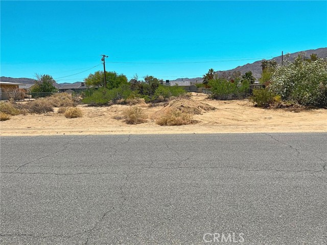 MLS #TR25121534 image #11