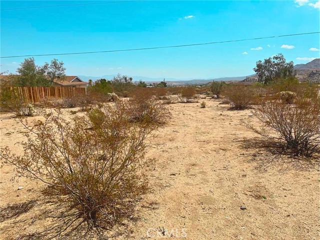 MLS #TR25121543 image #4