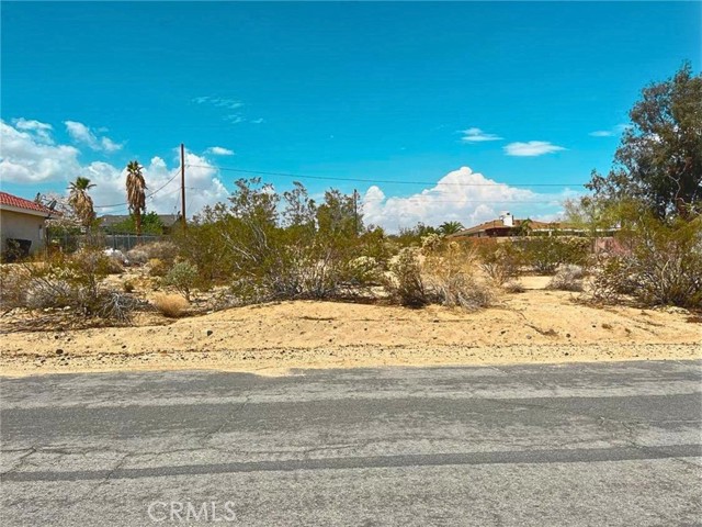 MLS #TR25121543 image #5