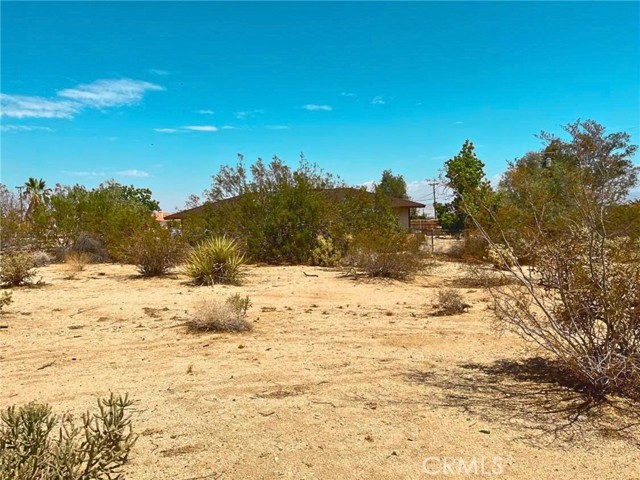 MLS #TR25121543 image #6