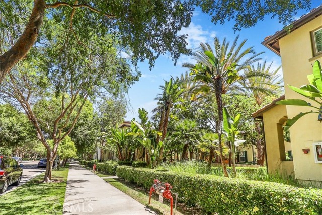 MLS #TR25127747 image #1