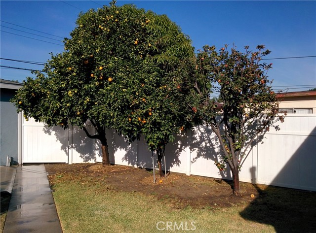 MLS #TR25135505 image #43