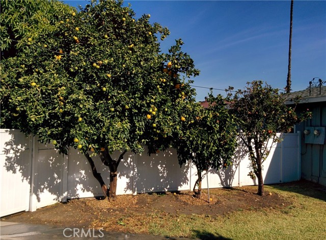 MLS #TR25135505 image #56