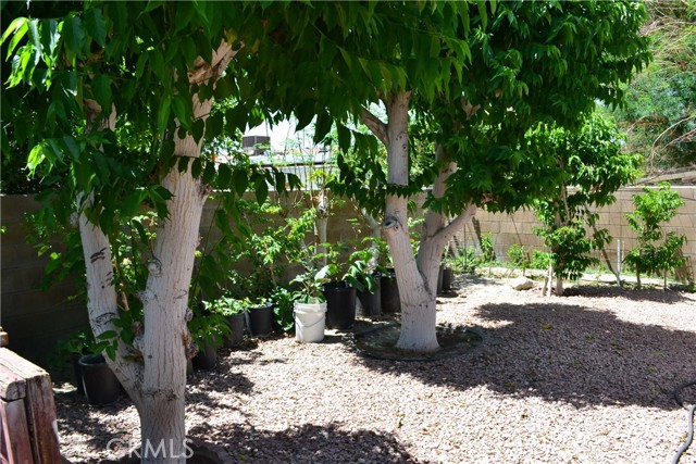 MLS #TR25140593 image #11