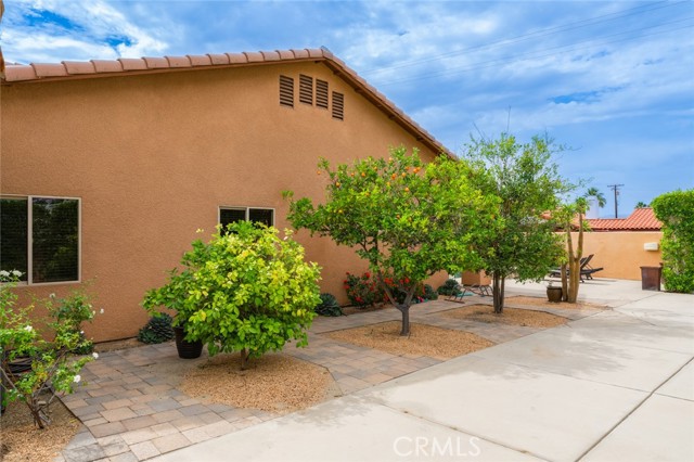 MLS #TR25140698 image #48