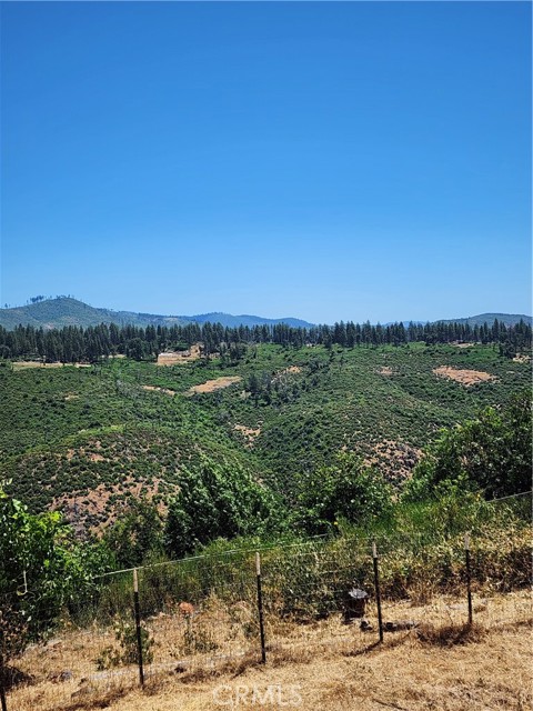 MLS #TR25141382 image #2