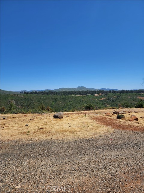 MLS #TR25141382 image #3