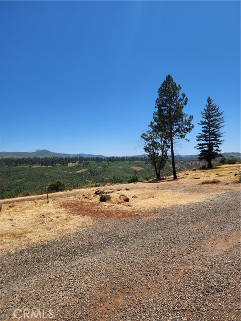 MLS #TR25141382 image #4