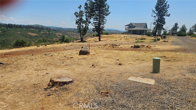 MLS #TR25141382 image #5