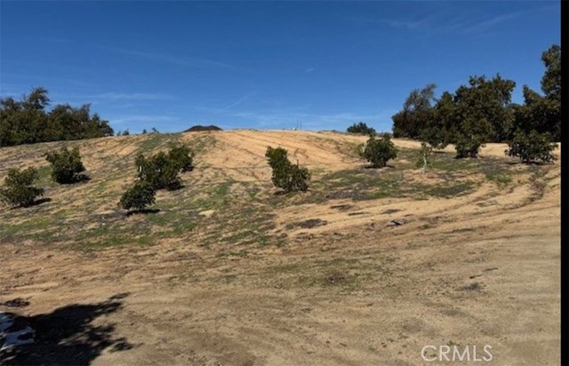MLS #TR25144098 image #3
