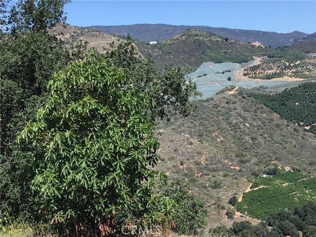 MLS #TR25144098 image #37