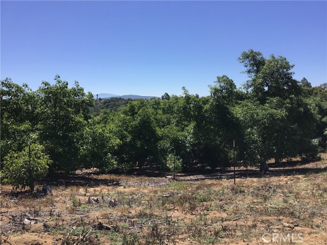 MLS #TR25144098 image #41