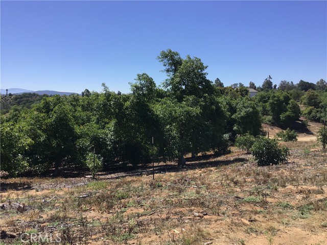 MLS #TR25144098 image #42