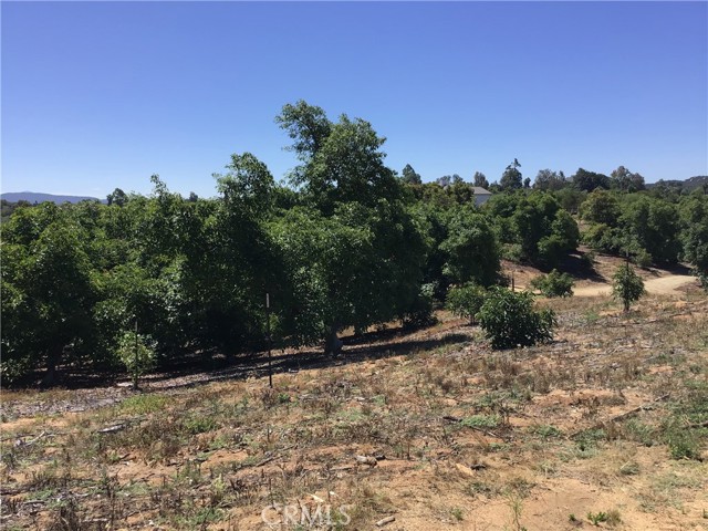 MLS #TR25144098 image #43