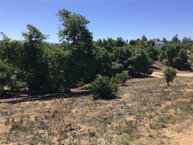 MLS #TR25144098 image #45