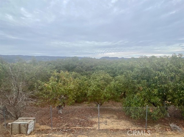 MLS #TR25144098 image #5