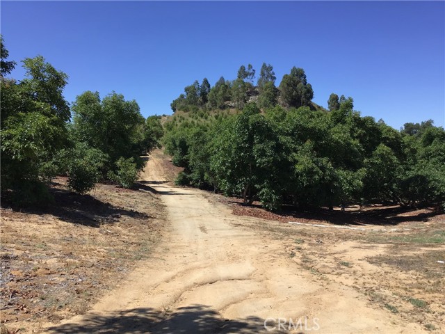MLS #TR25144098 image #54