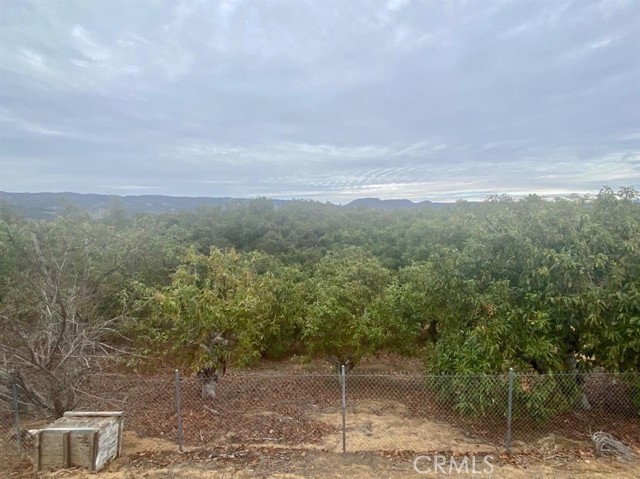 MLS #TR25144098 image #6