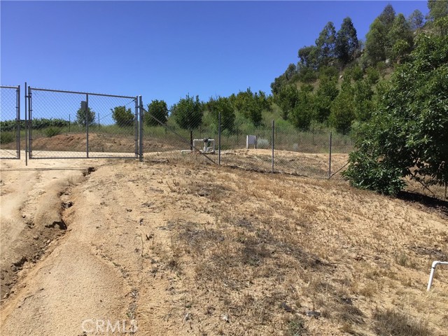 MLS #TR25144098 image #63