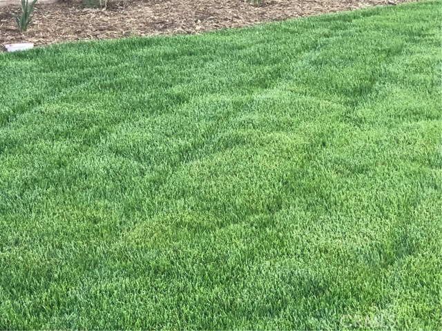 MLS #TR25152368 image #24