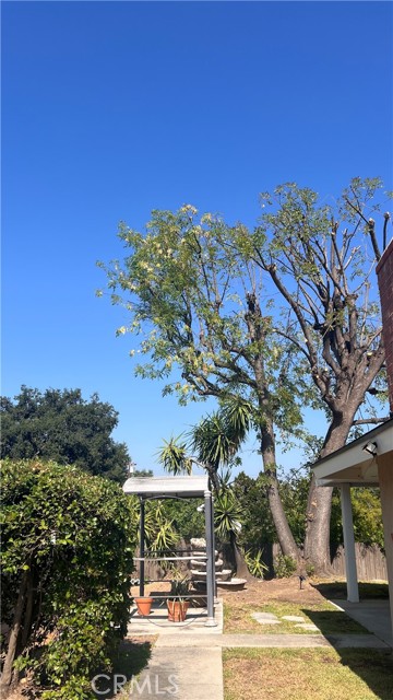 MLS #TR25156645 image #7