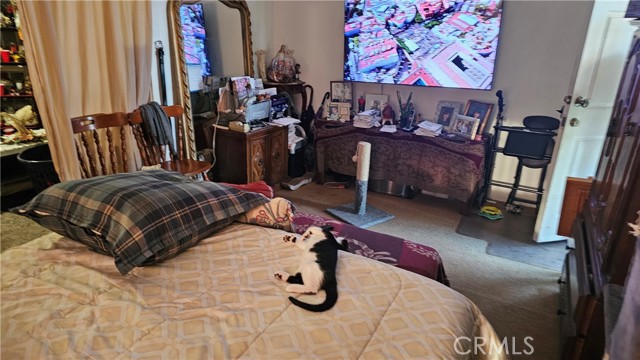 MLS #TR25161725 image #59