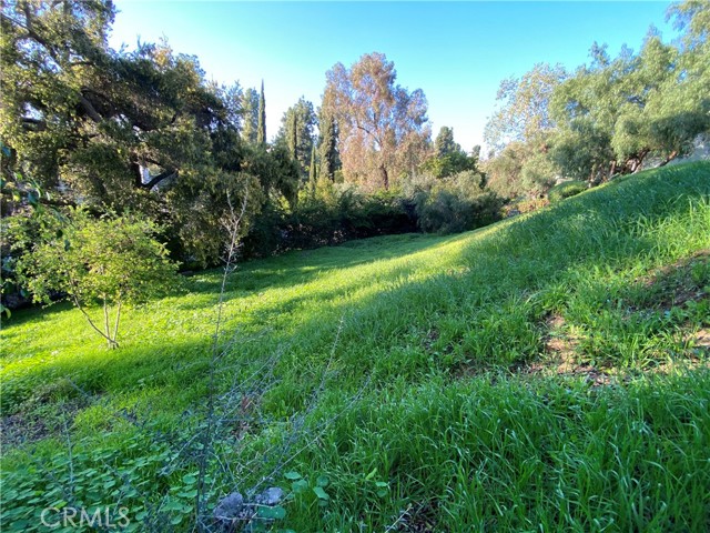 MLS #TR25166103 image #5