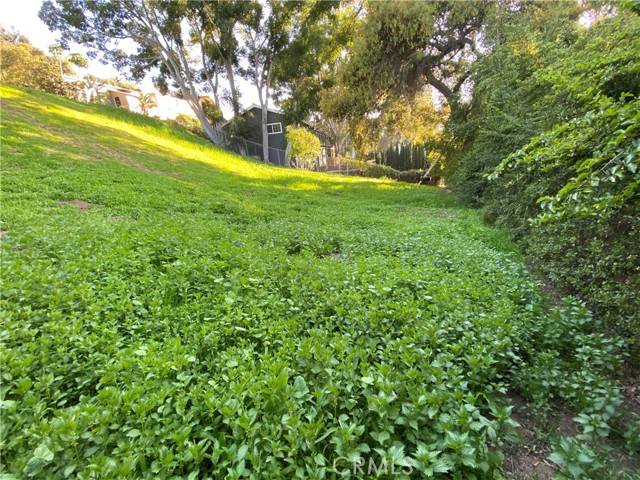 MLS #TR25166103 image #6