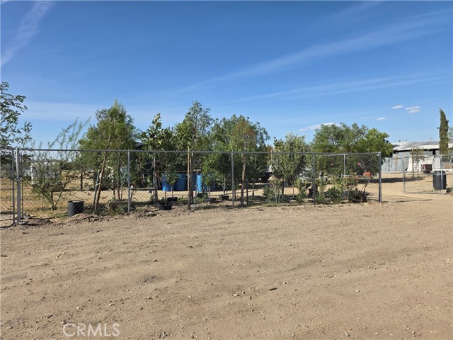 MLS #TR25169808 image #6