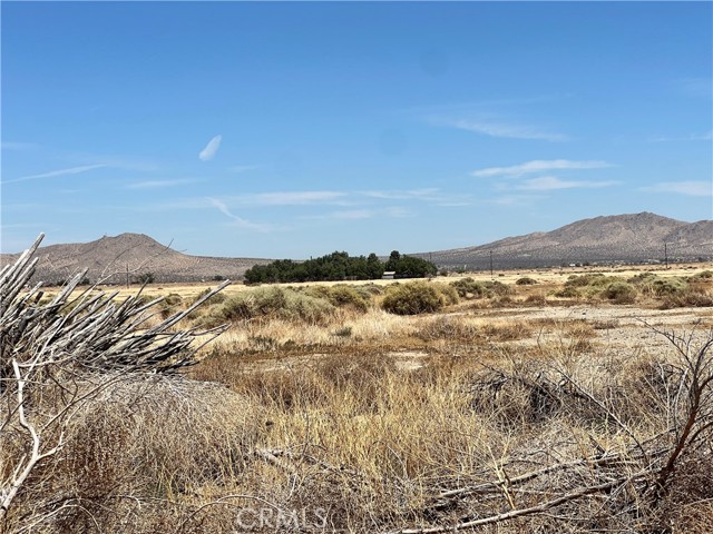 MLS #TR25170186 image #6