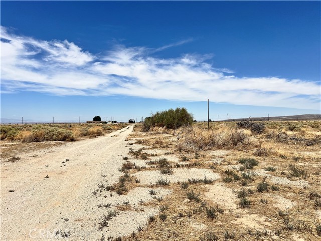 MLS #TR25170186 image #8