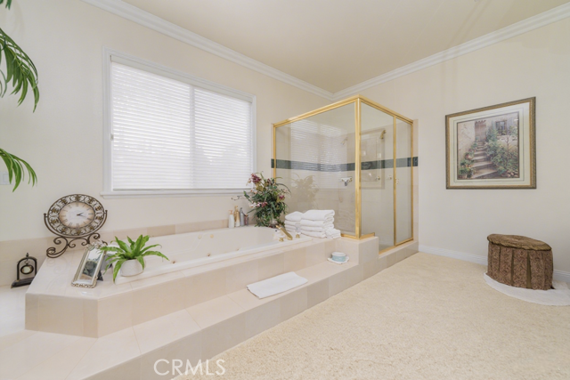 MLS #TR25177839 image #9