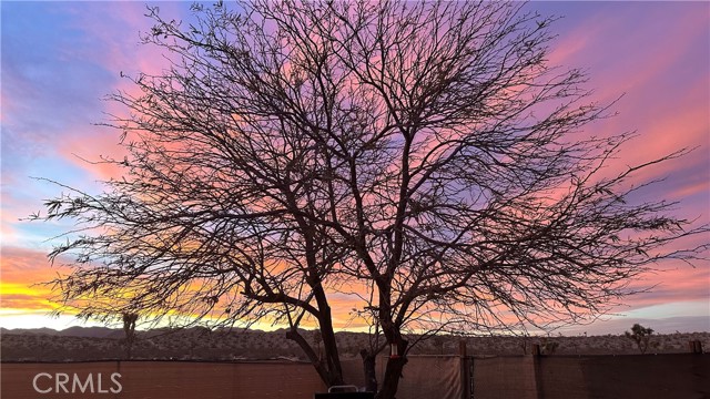 MLS #TR25179130 image #32