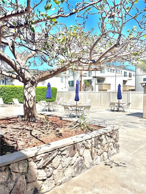 MLS #TR25181455 image #9