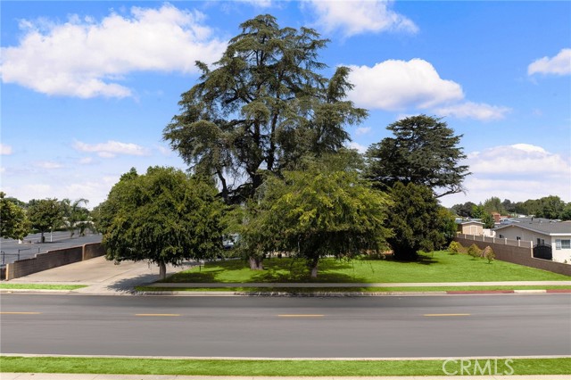 MLS #TR25186813 image #6