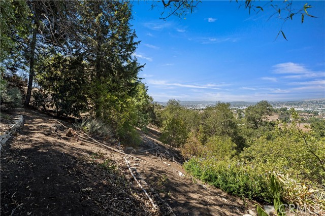 MLS #TR25193327 image #44