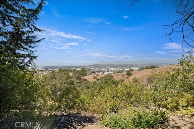 MLS #TR25193327 image #47