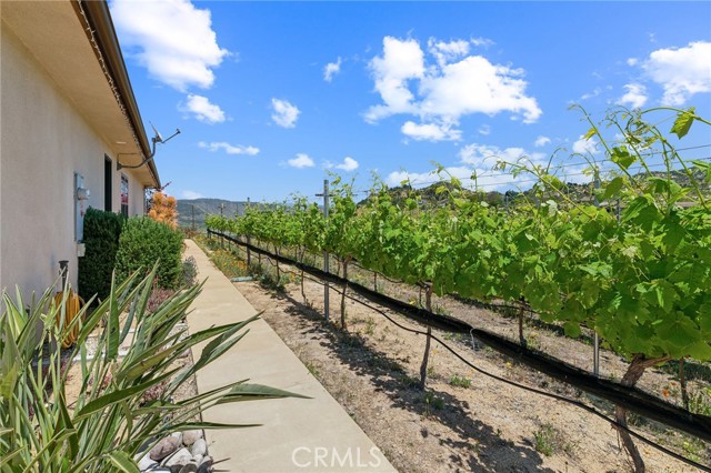 MLS #TR25199325 image #32