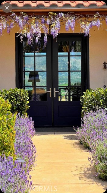 MLS #TR25199325 image #33