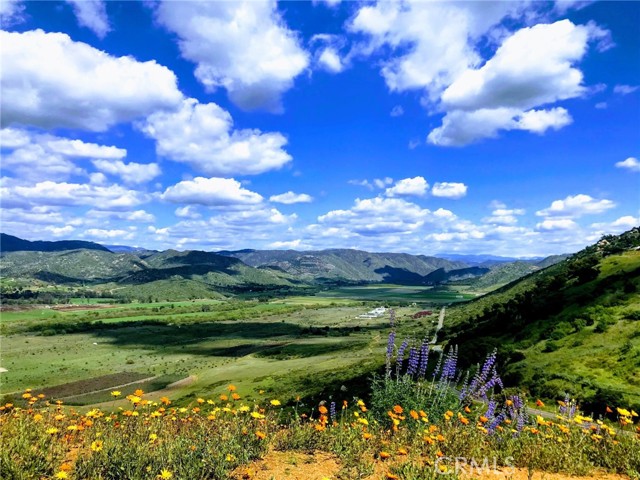 MLS #TR25199325 image #36