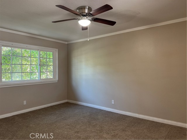 MLS #TR25199809 image #10