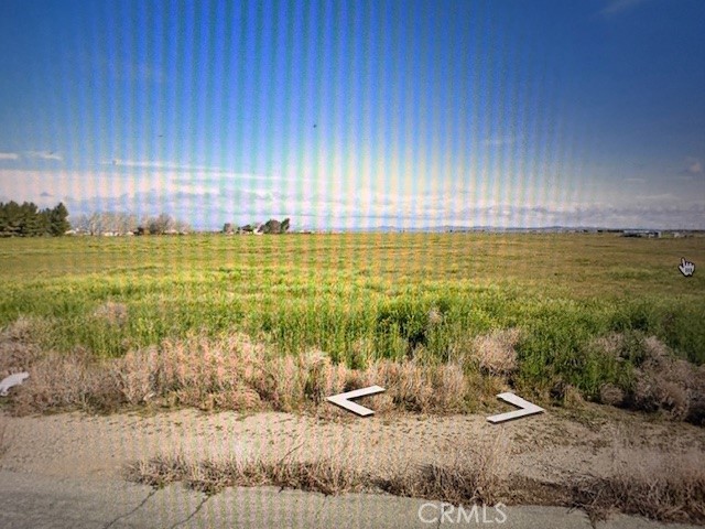 MLS #TR25202331 image #5