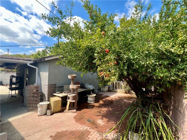 MLS #TR25215769 image #11