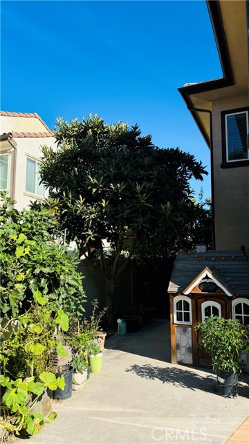 MLS #TR25218530 image #25