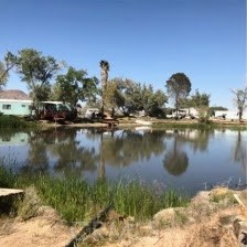 MLS #TR25218915 image #14