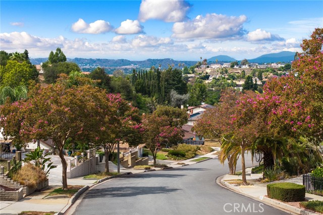 MLS #TR25221708 image #51