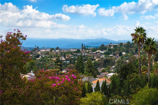 MLS #TR25221708 image #52